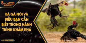 Đá Gà Nòi Và Điều Bạn Cần Biết Trong Hành Trình Khám Phá