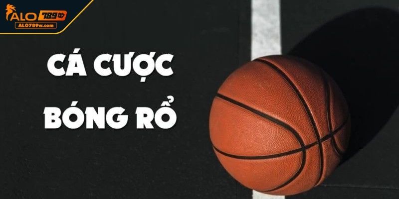 Trải nghiệm cá cược bóng rổ Trải nghiệm cá cược bóng rổ