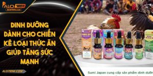 Dinh Dưỡng Dành Cho Chiến Kê Loại Thức Ăn Giúp Tăng Sức Mạnh