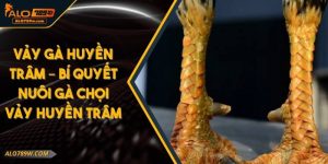 Vảy Gà Huyền Trâm – Bí Quyết Nuôi Gà Chọi Vảy Huyền Trâm